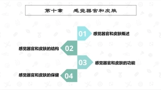 婴幼儿生理基础：感觉器官和皮肤PPT教学课件.pptx