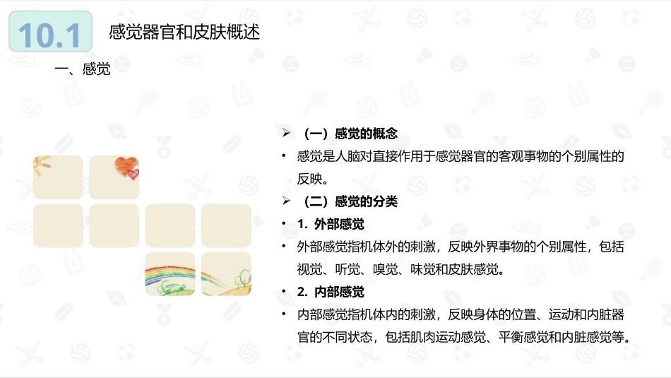婴幼儿生理基础：感觉器官和皮肤PPT教学课件.pptx_第3页