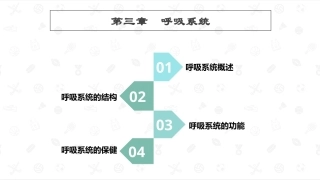 婴幼儿生理基础：呼吸系统PPT教学课件.pptx