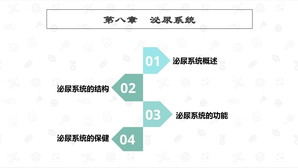 婴幼儿生理基础：泌尿系统PPT教学课件.pptx_第1页