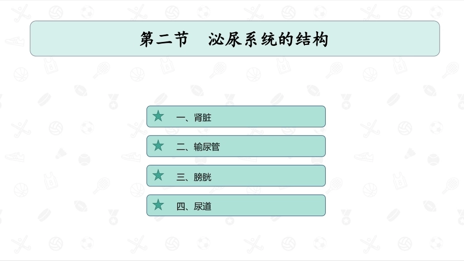 婴幼儿生理基础：泌尿系统PPT教学课件.pptx_第3页