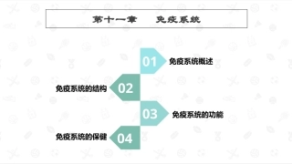 婴幼儿生理基础：免疫系统PPT教学课件.pptx