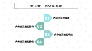 婴幼儿生理基础：内分泌系统PPT教学课件.pptx