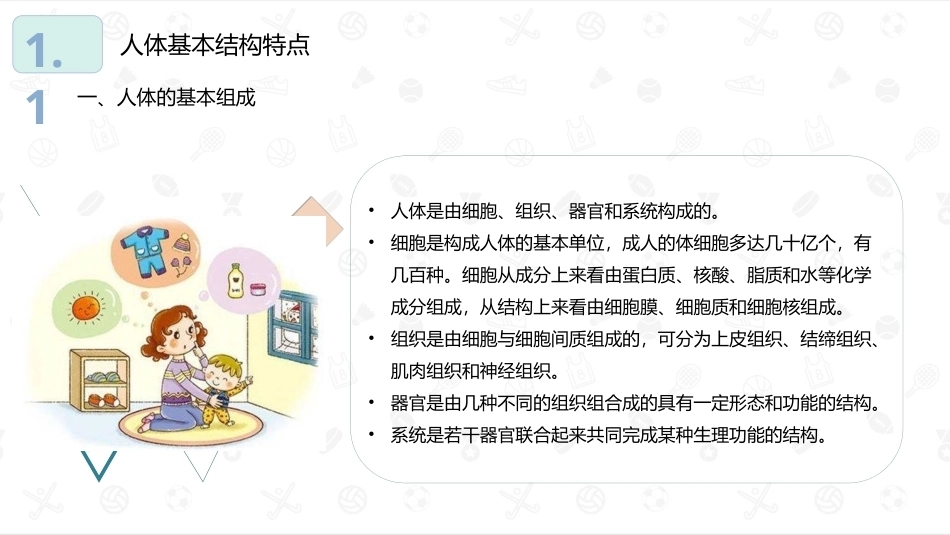 婴幼儿生理基础：人体概述PPT教学课件.pptx_第3页