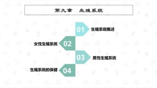 婴幼儿生理基础：生殖系统PPT教学课件.pptx