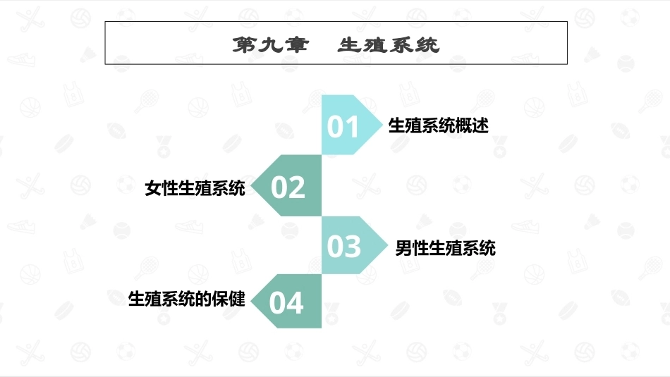 婴幼儿生理基础：生殖系统PPT教学课件.pptx_第1页