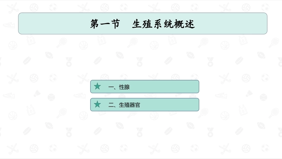 婴幼儿生理基础：生殖系统PPT教学课件.pptx_第2页