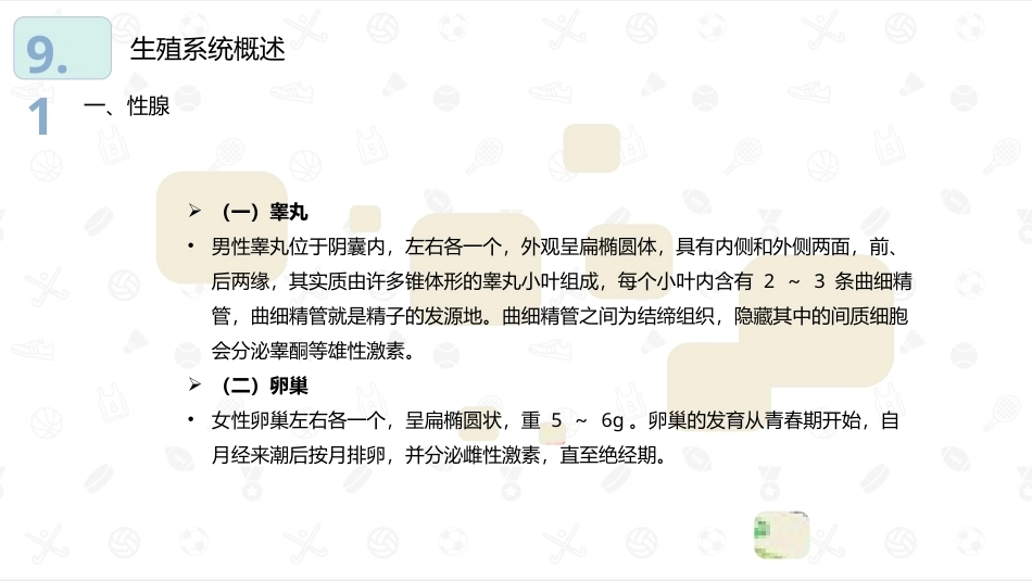 婴幼儿生理基础：生殖系统PPT教学课件.pptx_第3页