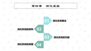 婴幼儿生理基础：消化系统PPT教学课件.pptx