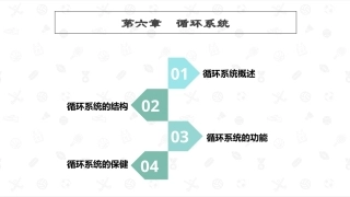 婴幼儿生理基础：循环系统PPT教学课件.pptx