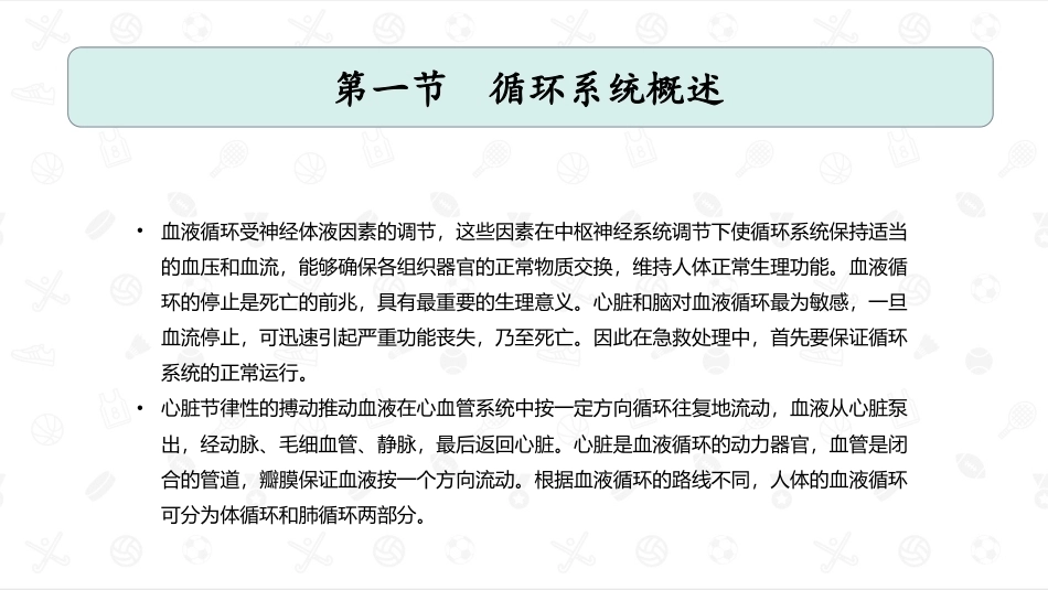 婴幼儿生理基础：循环系统PPT教学课件.pptx_第3页