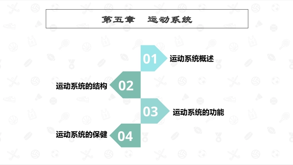 婴幼儿生理基础：运动系统PPT教学课件.pptx_第1页