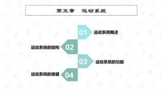 婴幼儿生理基础：运动系统PPT教学课件.pptx