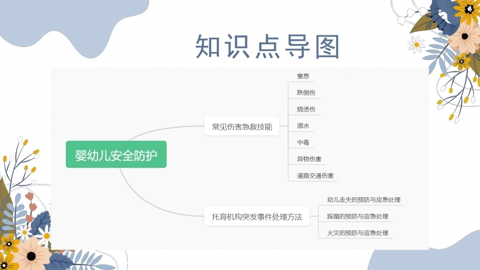婴幼儿托育基础与实务：婴幼儿安全防护PPT教学课件.pptx_第3页