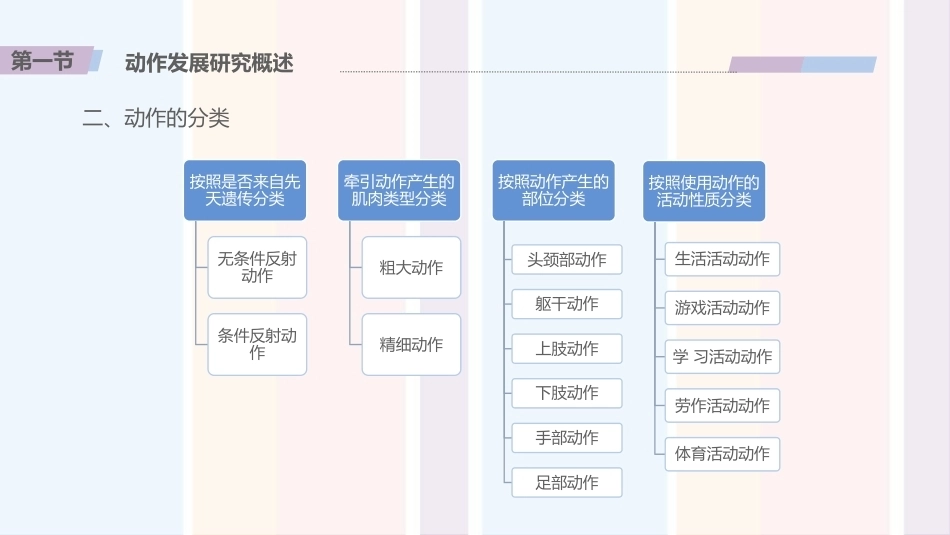 婴幼儿心理与教育：婴儿动作发展与教育PPT教学课件.pptx_第3页