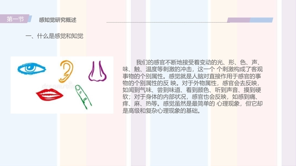 婴幼儿心理与教育：婴幼儿感知觉的发展与教育PPT教学课件.pptx_第2页