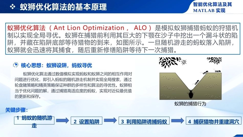 智能优化化算法及其MATLAB实现：蚁狮群优化算法PPT教学课件.pptx_第3页