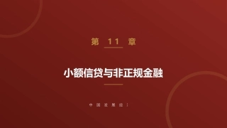 中国发展经济学：小额信贷与非正规金融PPT教学课件.pptx