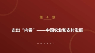 中国发展经济学：走出“内卷”——中国农业和农村发展PPT教学课件.pptx
