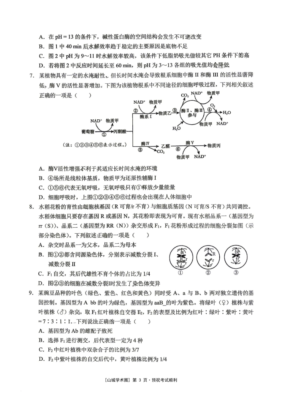 重庆西大附中等校2027届高三上学期九月联合诊断考试【生物】试题+答案.pdf_第3页