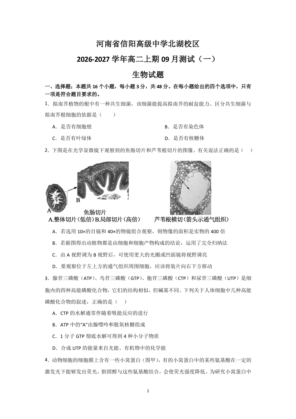 河南省信阳北湖校区2026-2027学年高二上学期9月阶段检测生物试题+答案.pdf_第1页
