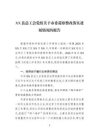县总工会党组关于市委巡察整改落实进展情况的报告.docx