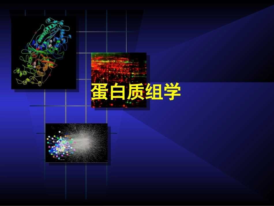 《蛋白质和蛋白质组学》全册配套完整教学课件.pptx_第2页