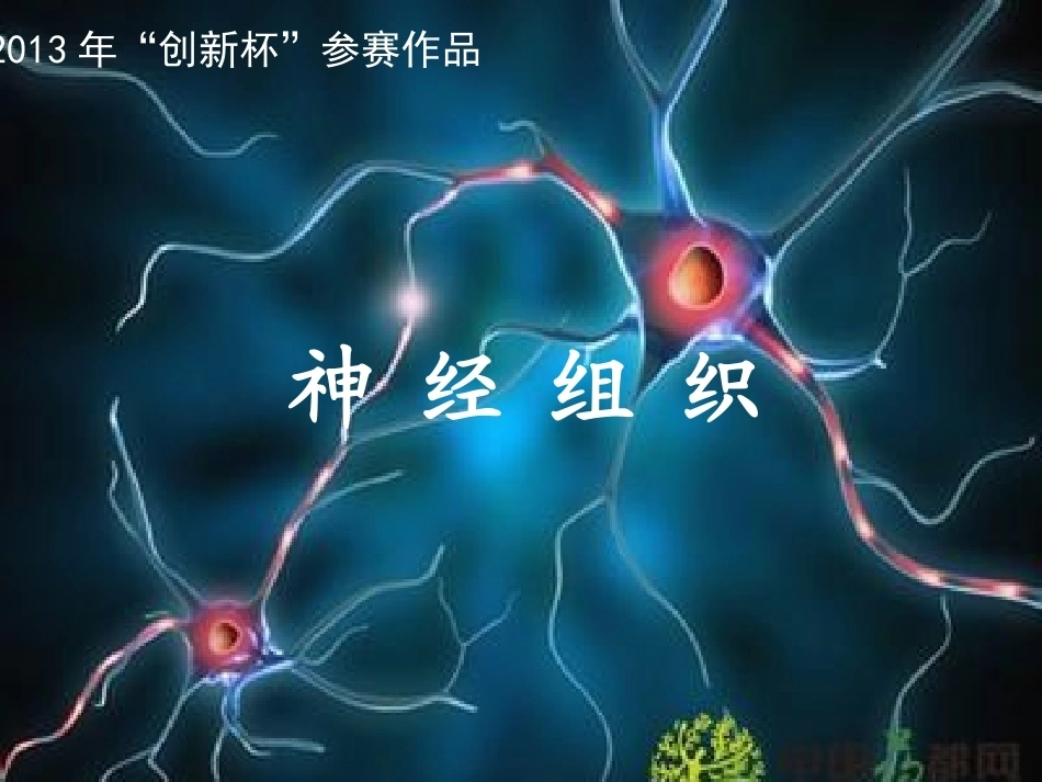 全国“创新杯”说课大赛医药卫生类优秀作品：神经组织说课课件.ppt_第1页