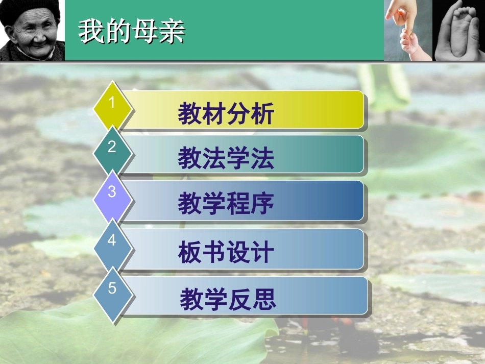 全国“创新杯”说课大赛语文类优秀作品：我的母亲说课课件.ppt_第2页