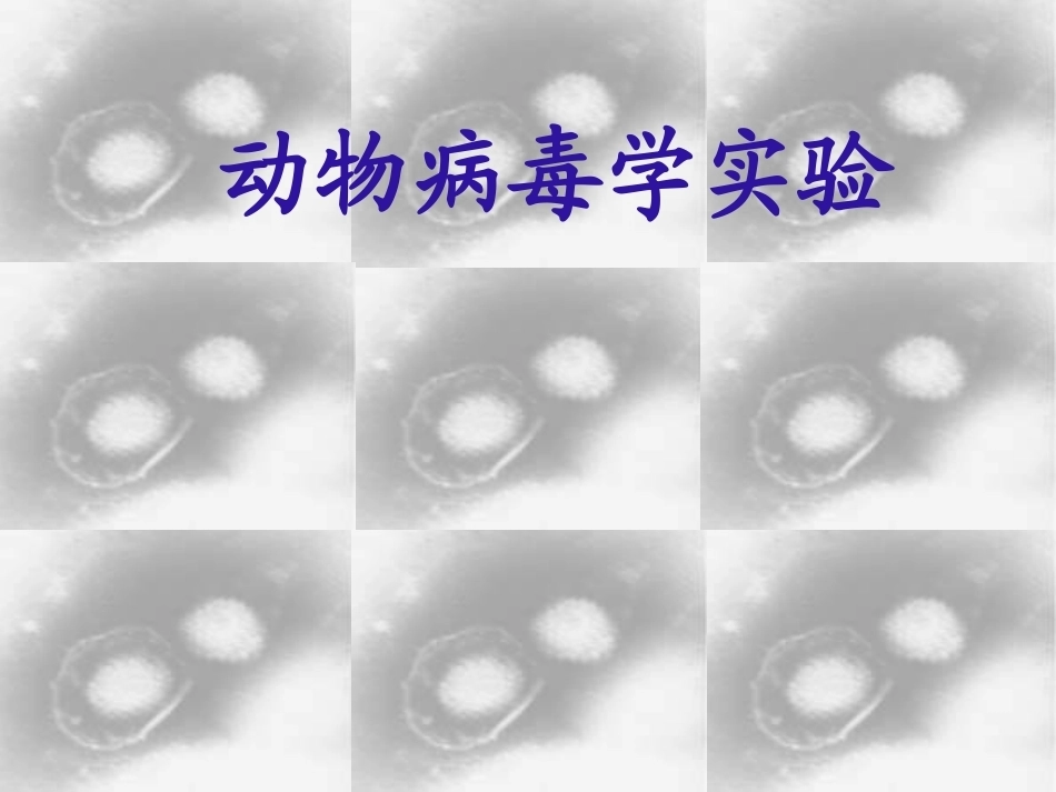 《病毒实验》全册配套教学课件2.ppt_第3页