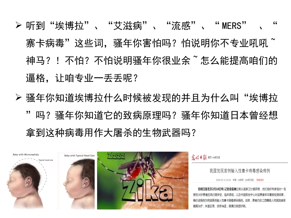 《病毒学》全册配套教学课件2.ppt_第2页