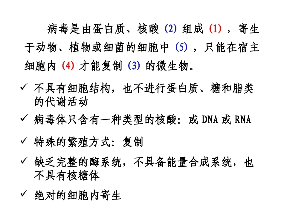 《病毒学》全册配套教学课件2.ppt_第3页