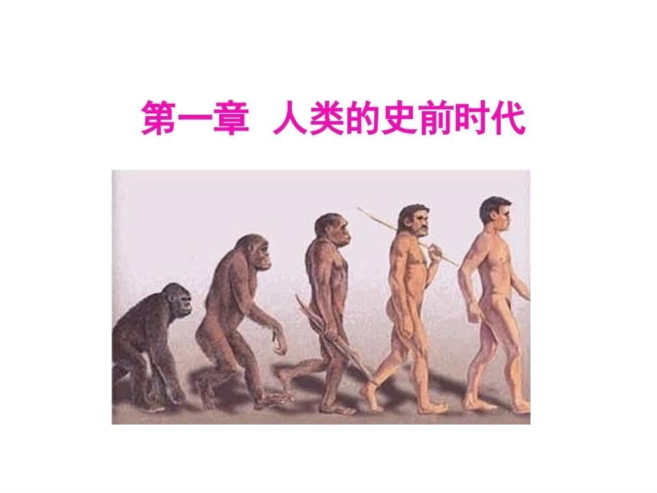 《世界古代中世纪》全册配套完整课件1.ppt_第2页