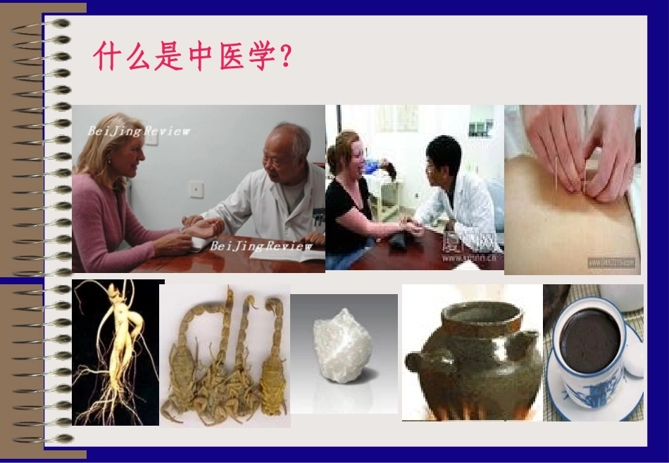 中医学全套课程教学课件.ppt_第3页