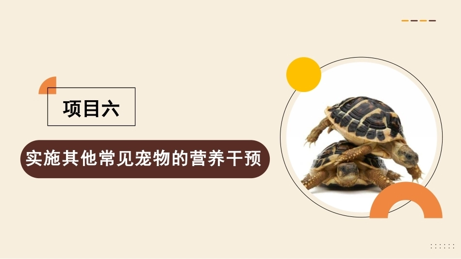 宠物营养与食品：实施其他常见宠物的营养干预PPT教学课件.pptx_第3页