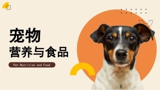 宠物营养与食品：实施犬、猫营养干预PPT教学课件.pptx