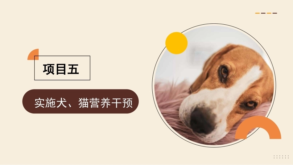 宠物营养与食品：实施犬、猫营养干预PPT教学课件.pptx_第3页