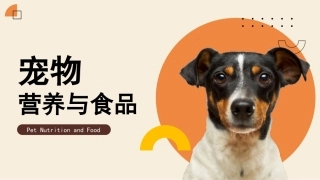 宠物营养与食品：守护宠物食品品质PPT教学课件.pptx