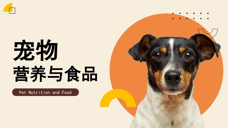 宠物营养与食品：探秘宠物营养原理PPT教学课件.pptx_第1页