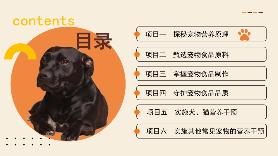 宠物营养与食品：探秘宠物营养原理PPT教学课件.pptx_第2页