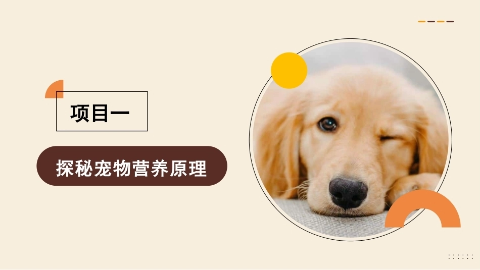 宠物营养与食品：探秘宠物营养原理PPT教学课件.pptx_第3页