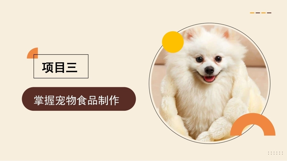 宠物营养与食品：掌握宠物食品制作PPT教学课件.pptx_第3页