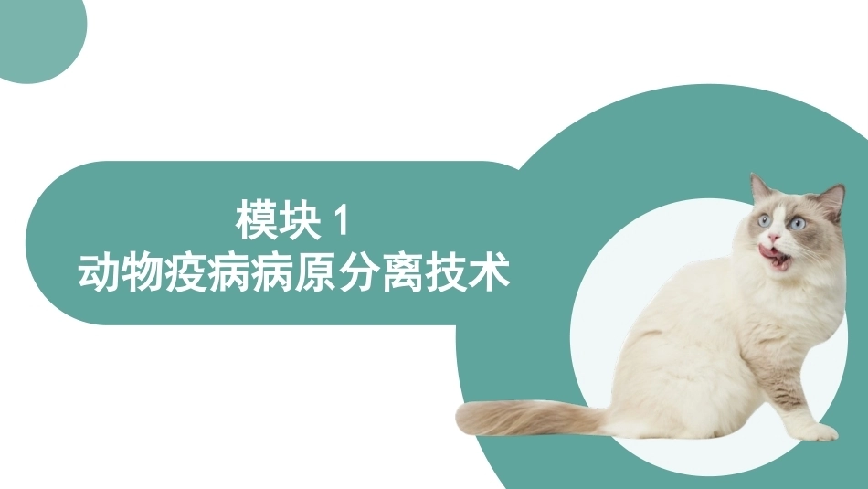 动物疫病检验技术：动物疫病病原分离技术PPT教学课件.pptx_第3页