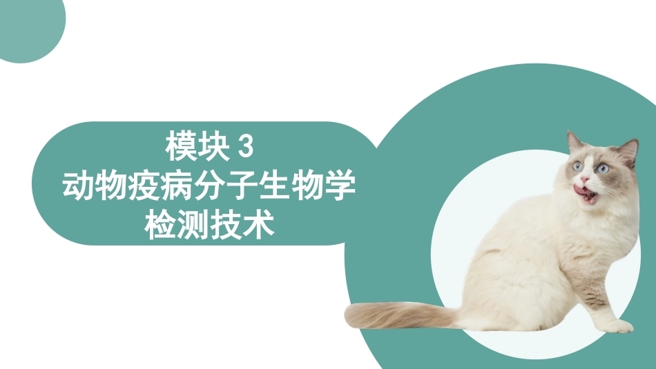 动物疫病检验技术：动物疫病分子生物学检测技术PPT教学课件.pptx_第3页