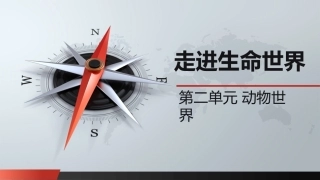自然科学基础：动物世界PPT教学课件.pptx