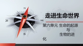 自然科学基础：生命的起源与生物的进化PPT教学课件.pptx