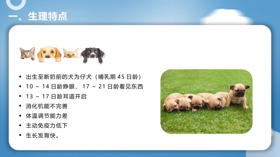 宠物营养与食品：项目3宠物科学饲养PPT教学课件.pptx_第2页
