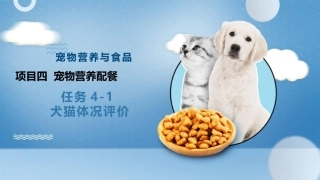 宠物营养与食品：项目4宠物营养配餐PPT教学课件.pptx