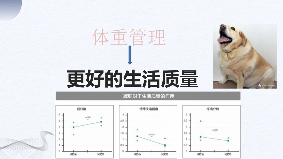 宠物营养与食品：项目4宠物营养配餐PPT教学课件.pptx_第3页
