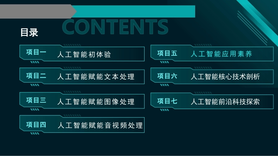 人工智能应用基础：项目五人工智能应用素养PPT教学课件.pptx_第2页
